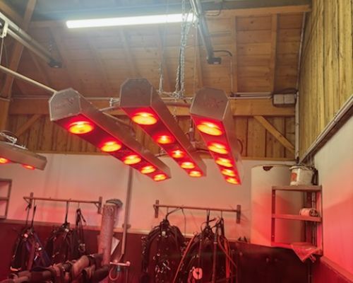 Solarium pour chevaux